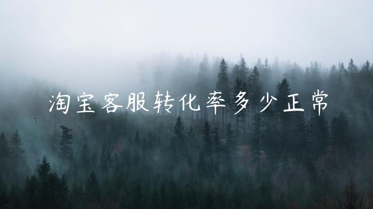 淘寶客服轉(zhuǎn)化率多少正常